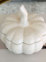 Pumpkin jar de ceramica