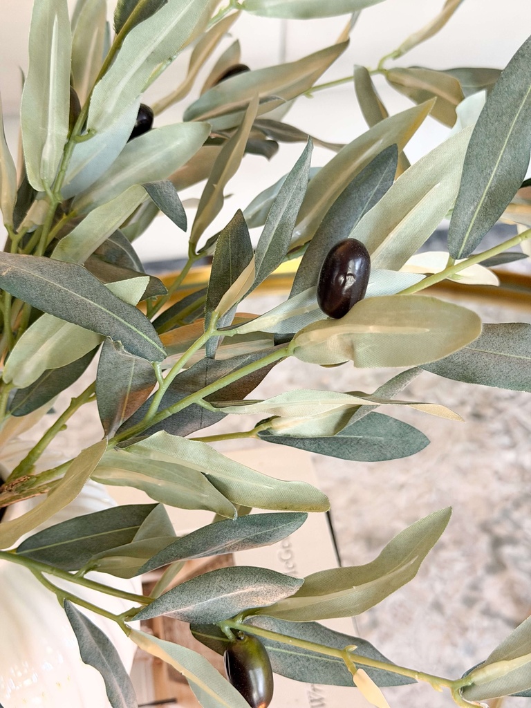 Rama pequeña de olivo