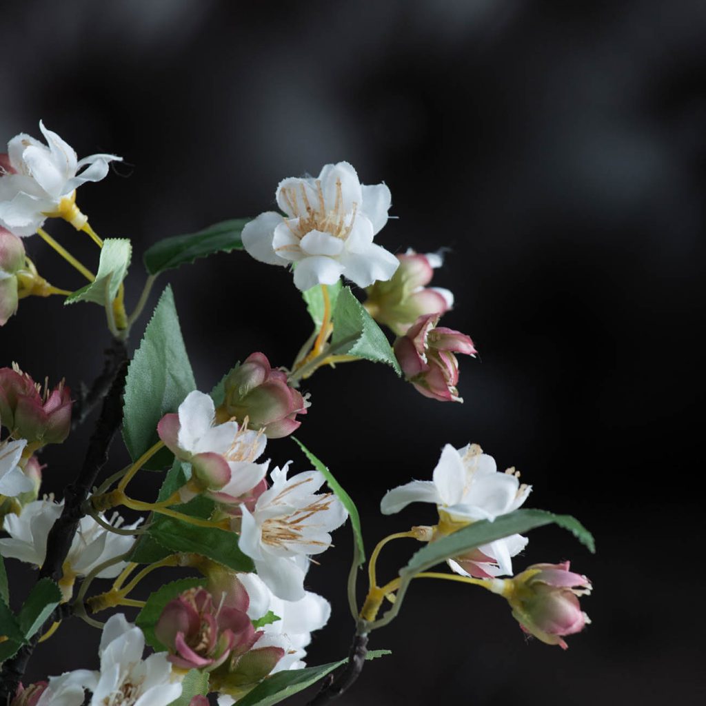 Flor de Manzana