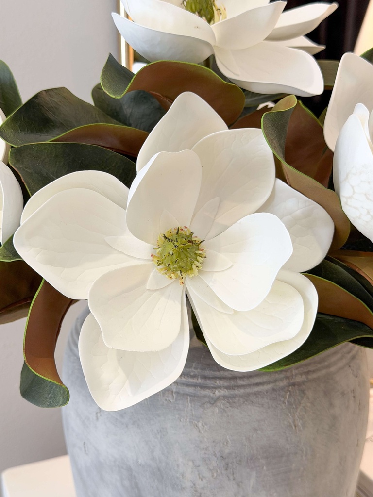 Magnolia blanca tacto real