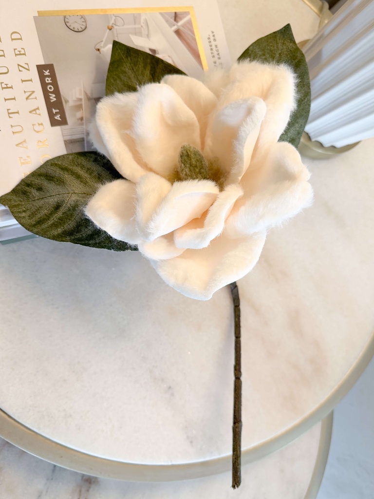 Magnolia blanca faux fur