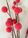 Rama de berry rojos grande congelada