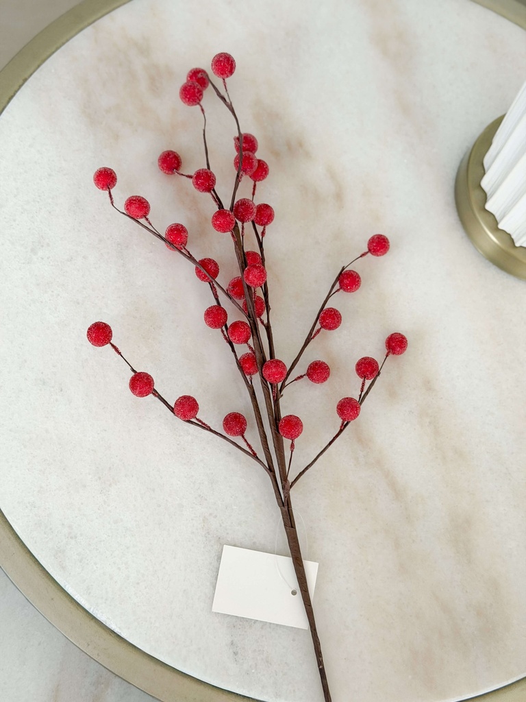 Rama de berrys rojos pequeños congelada