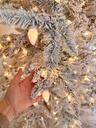 Arbol de navidad nevado de pino suizo