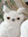 Set de 2 Buhos Blancos
