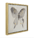 Set de 2 cuadros de mariposa