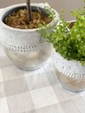 Macetera de mesa (2 tamaños)