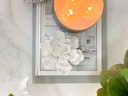 Flor de Ceramica blanca