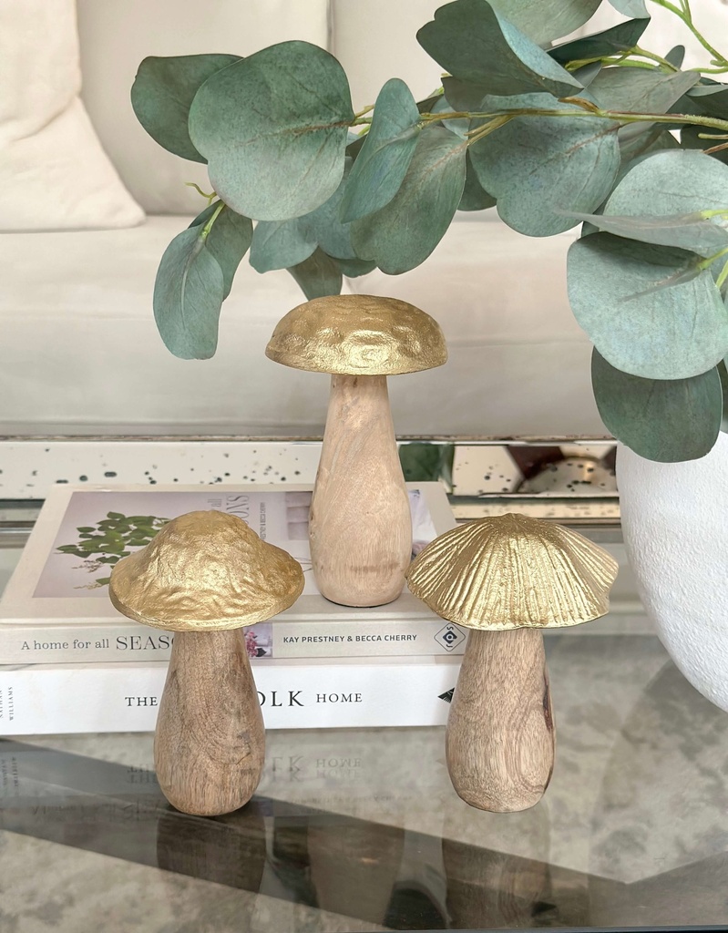 Hongos cuerpo de madera