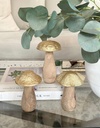 Hongos cuerpo de madera