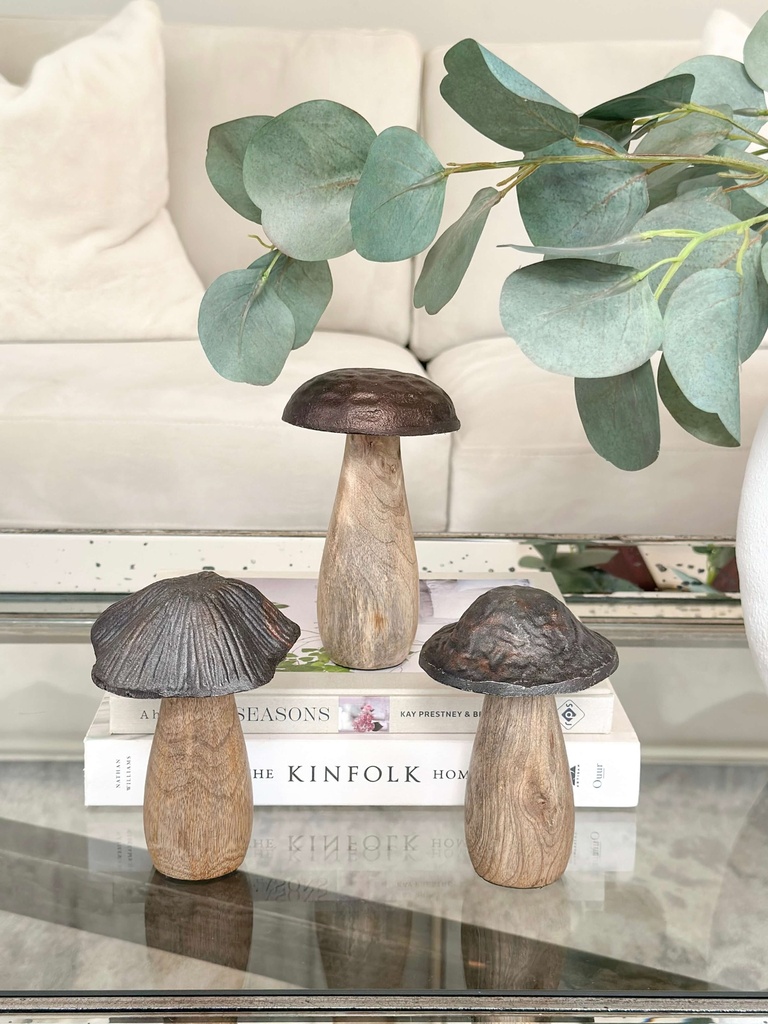 Hongos cuerpo de madera