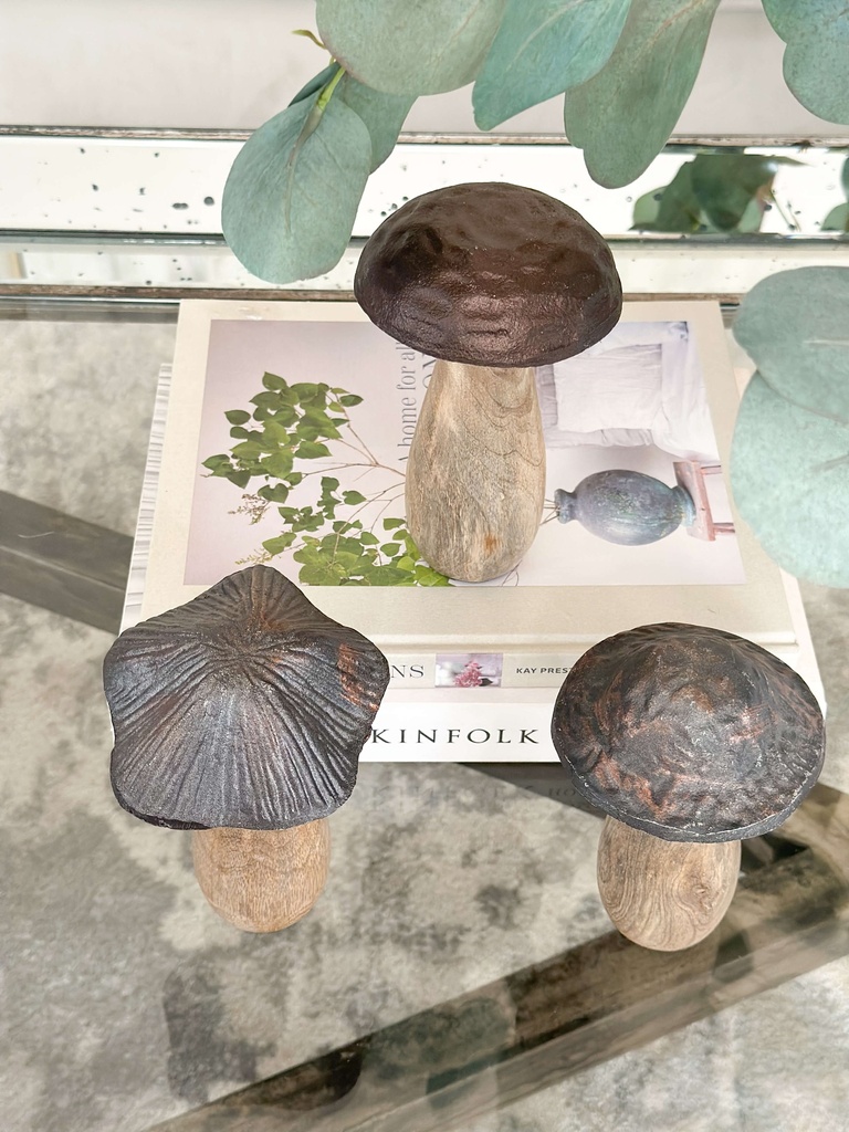 Hongos cuerpo de madera