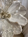 Magnolia plateada con Piedras
