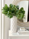 Rama Fiddle Leaf