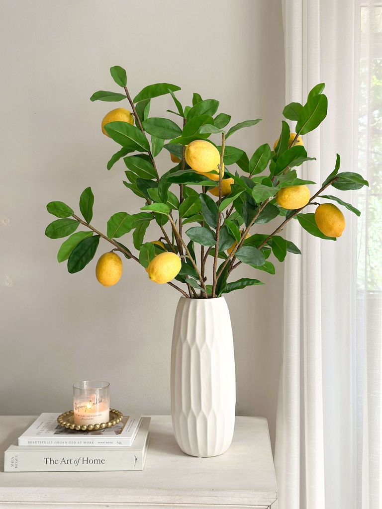 Rama de limon 3 ramas