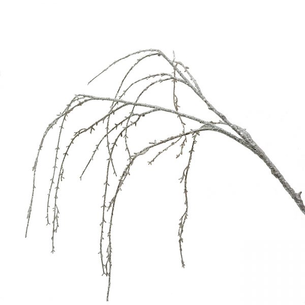 Rama grande con ramitas nevadas caida