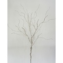 Rama grande de ramitas nevadas