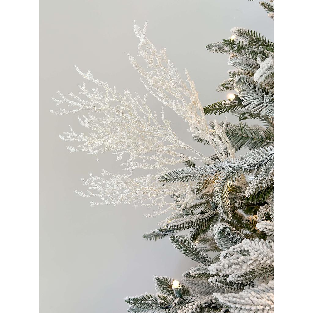 Rama tipo coral blanca