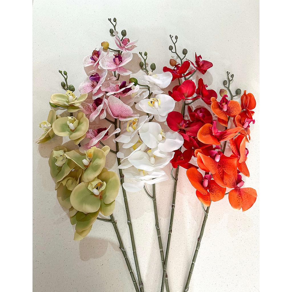 Rama de Orquidea