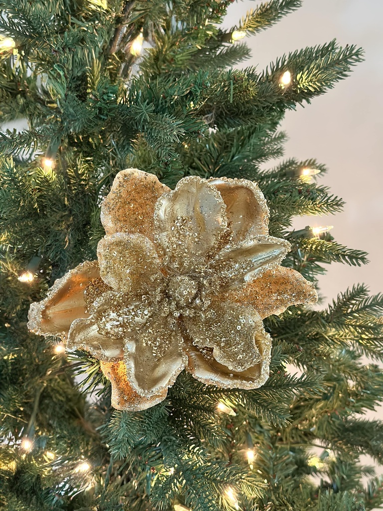 Magnolia dorada con piedras y escarcha