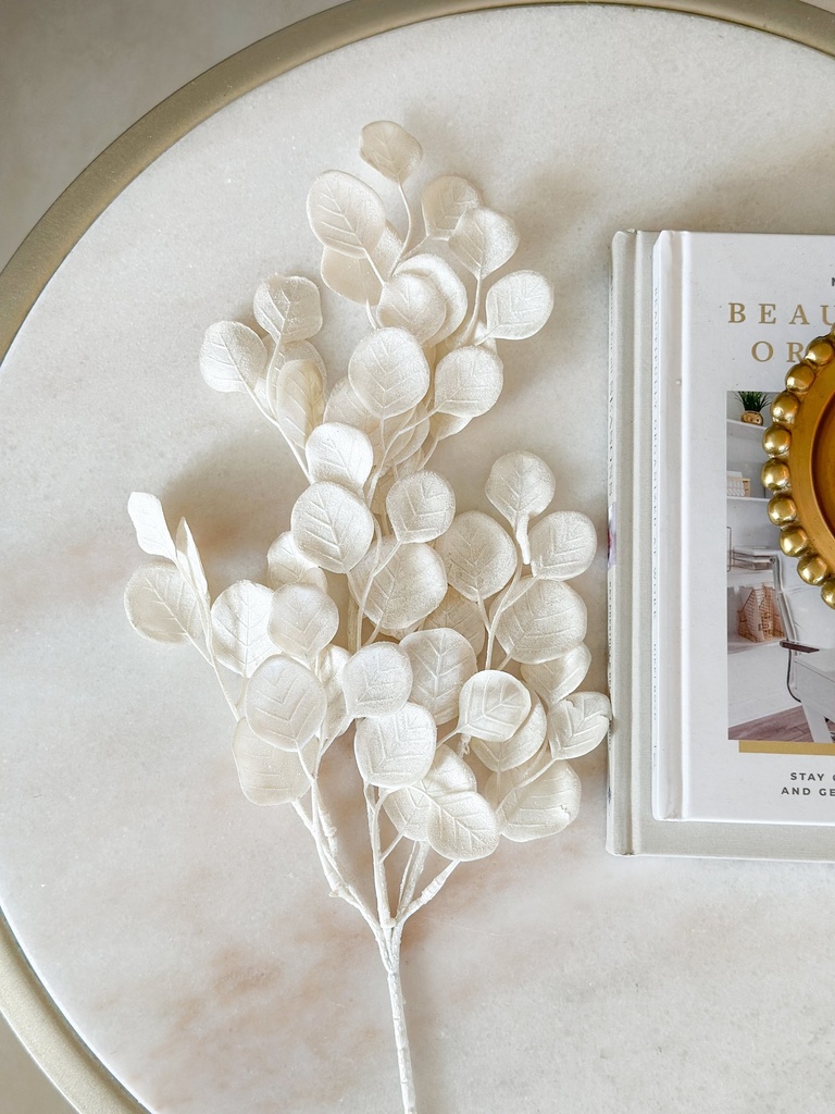 Rama de eucalipto blanco escarchado