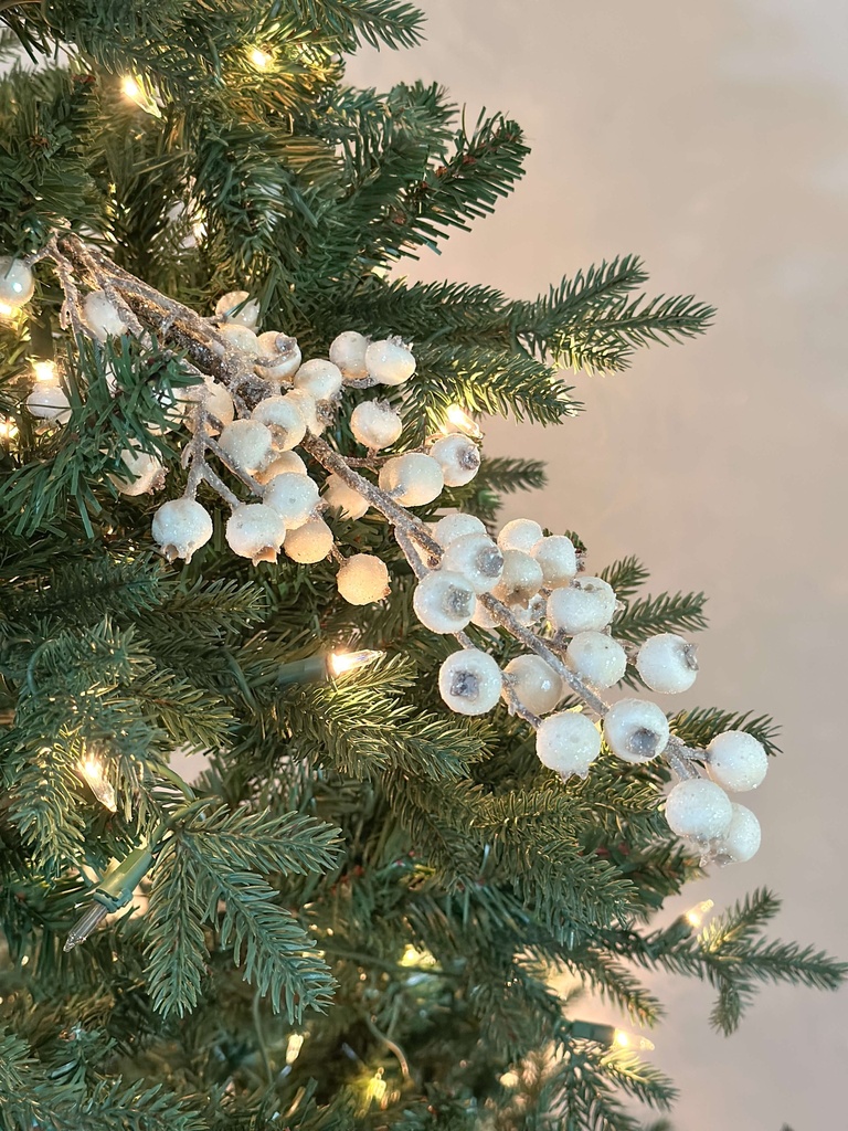 Rama de berrie blanca escarchada