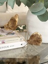 Set de 2 mariposas con alas de hoja