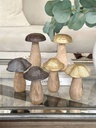 Hongos cuerpo de madera
