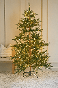 Arbol pre-iluminado Mountain Pine de 7 pies