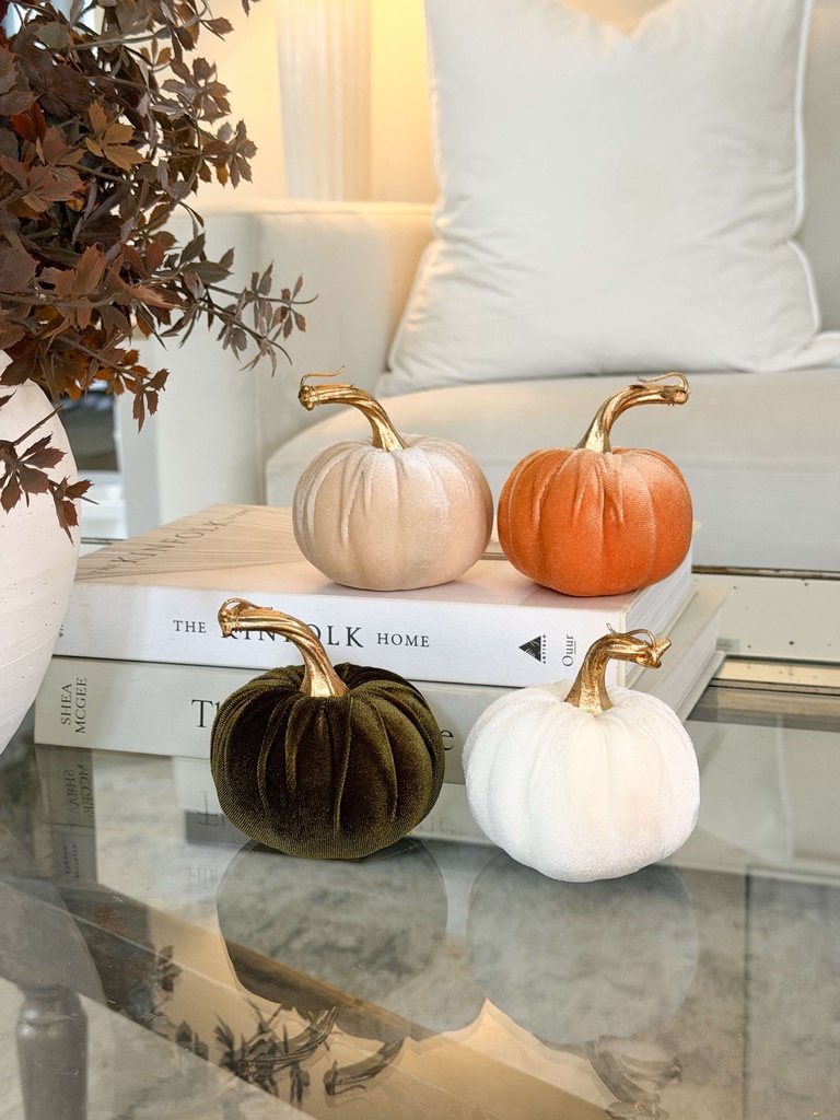 Velvet Pumpkins tallo dorado (4 colores)