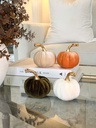 Velvet Pumpkins tallo dorado (4 colores)