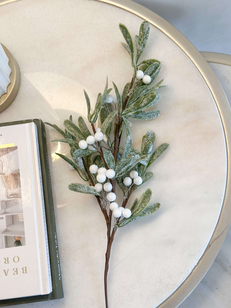 Rama mistletoe nevada