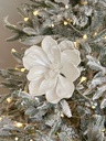 Magnolia blanca con perlas