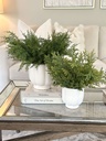 Set de 2 maceteras Scalloped
