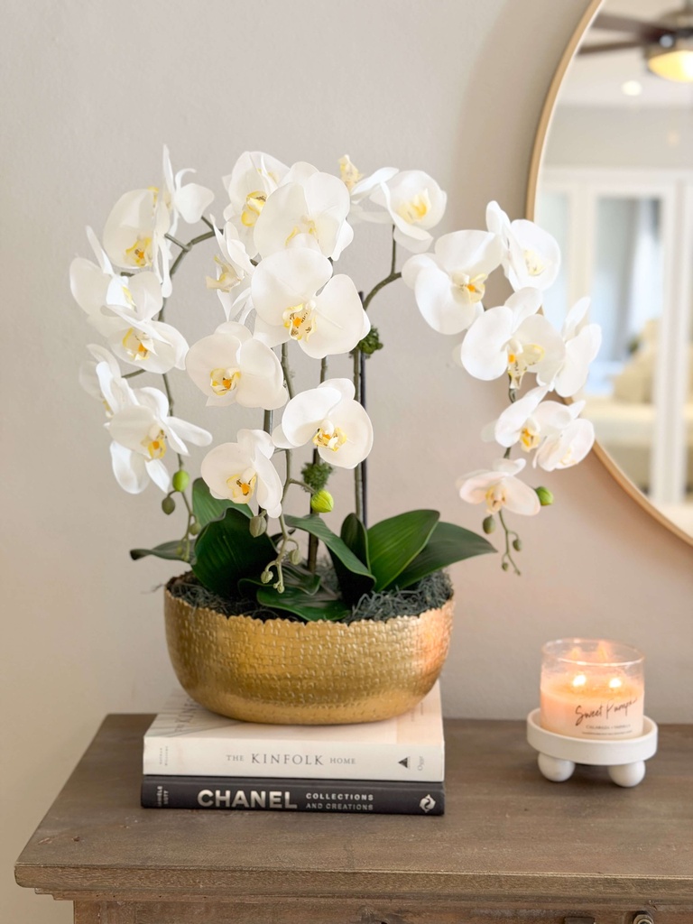 Arreglo de orquidea en base ovalada