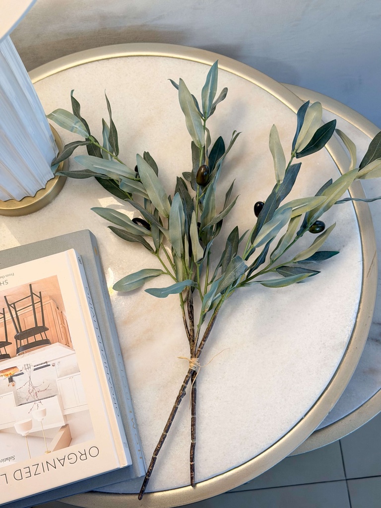 Rama pequeña doble de olivo