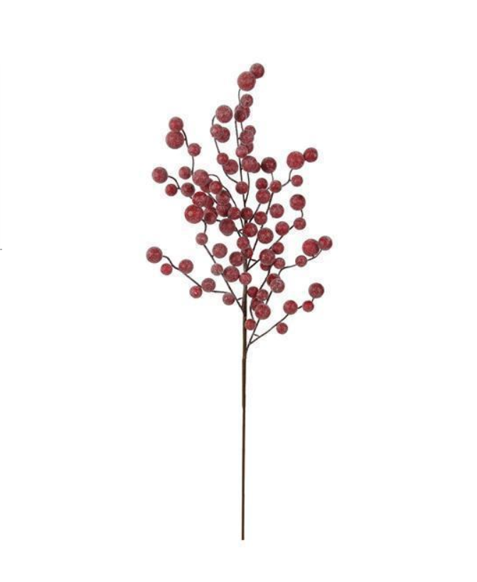 Rama de berrie roja nevadita
