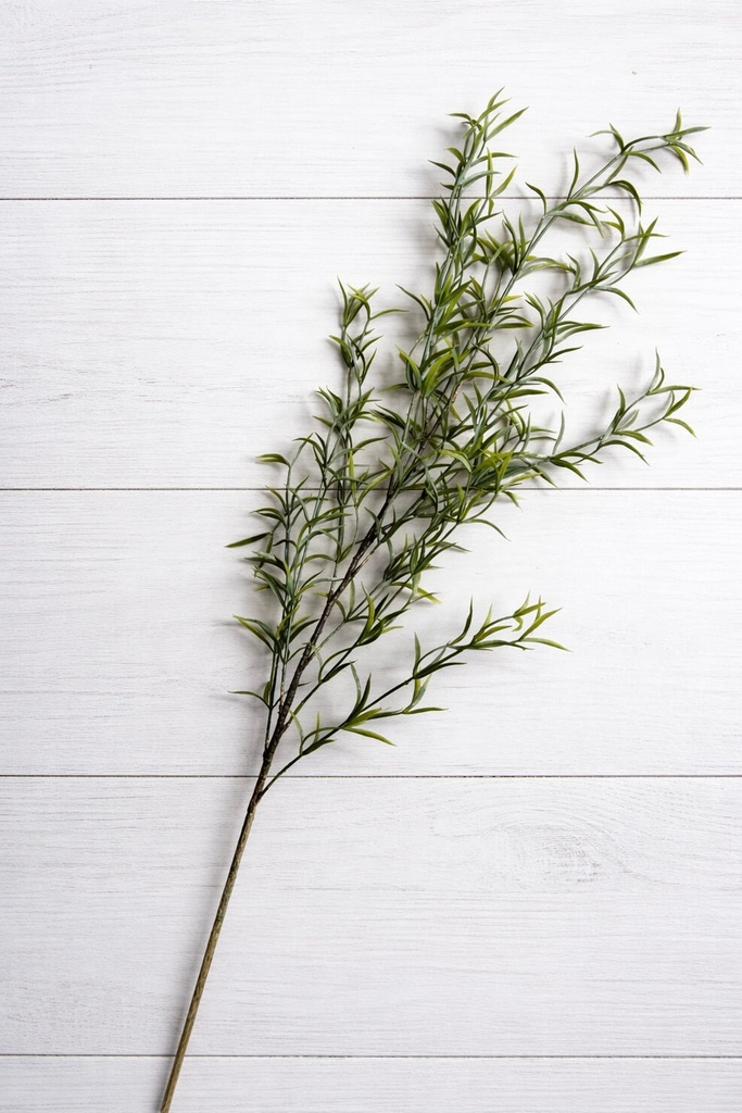 Rama de follaje verde larga