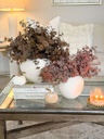 Rama Liquidambar (2 colores)