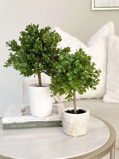 Mini topiario en macetera de barro (2 Tamaños)