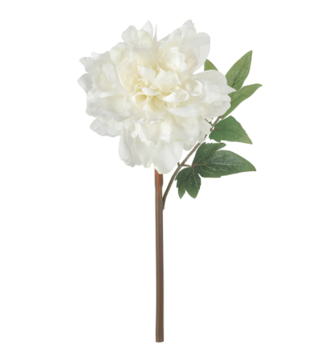 Peony (3 colores)