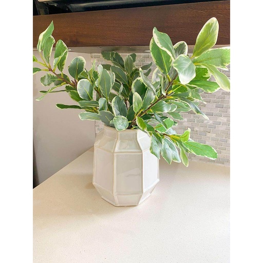 [FL5882-GW] Rama de ficus benjamina