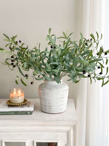 [F4684] Rama hoja de olivo