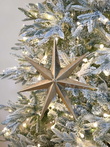 [MTX70393] Estrella dorada de Belen