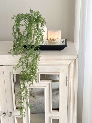 [AA29598] Follaje con caida