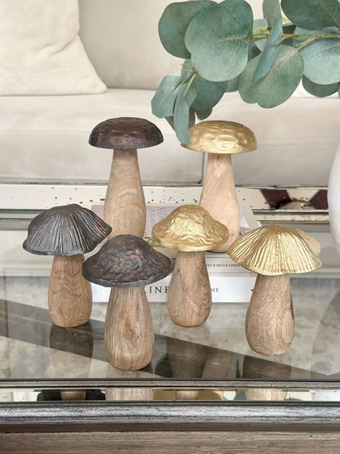 Hongos cuerpo de madera