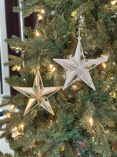 Ornamento estrella espejada escarchada (2 Colores)