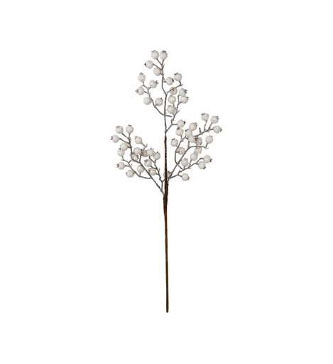 [C9008] Rama de berrie blanca escarchada