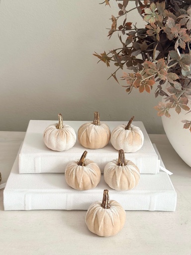 [31343] Set de 6 mini pumpkin champagne