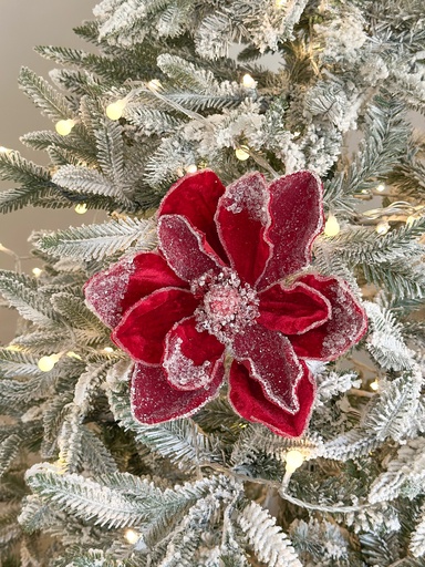 [98368] Magnolia velvet roja piedras transparentes